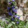 20150514_0073